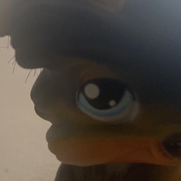 littlest pet shop dog - Picture 6 of 8